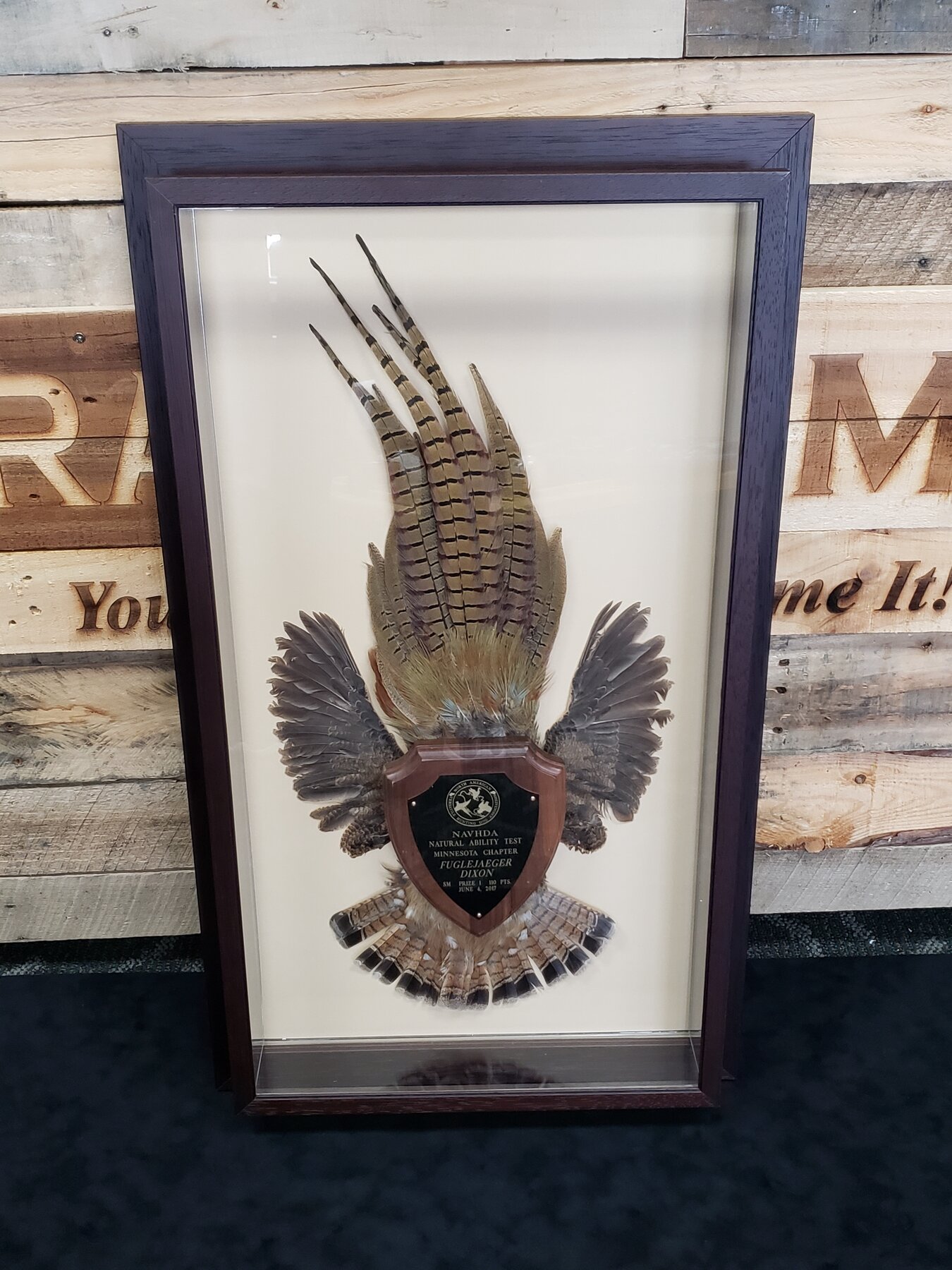 Full project view of feather and service badge display custom framing project